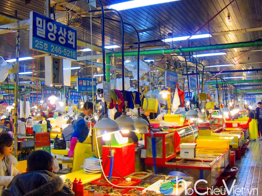 Kinh-nghiệm-du-lịch-Busan-chợ-cá-Jagalchi