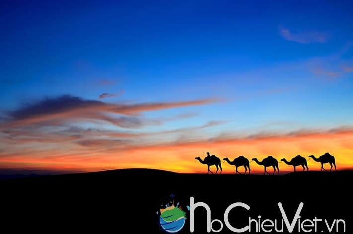 maroc-sahara-desert-sunset-711
